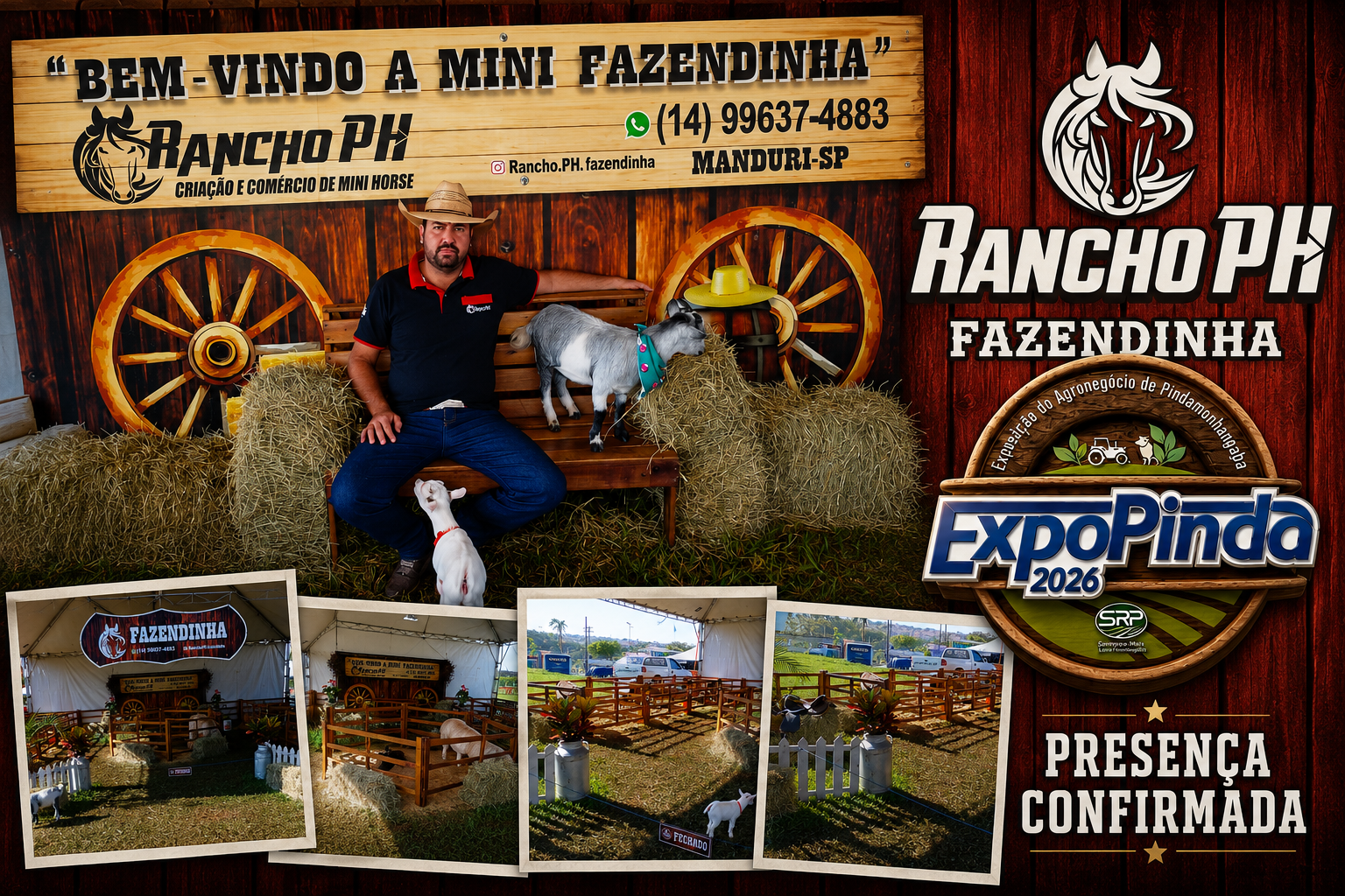 Rancho PH Fazendinha — Mini Horse, presença confirmada na ExpoPinda 2026